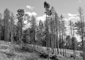 Nové právní předpisy a další dokumenty v oblasti ochrany přírody a krajiny 10-11 2019