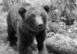 Zvláštní číslo Enviromagazínu ‒ Sto let slovenské ochrany přírody jako příběh